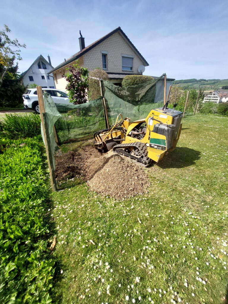 Baumstockfräsen